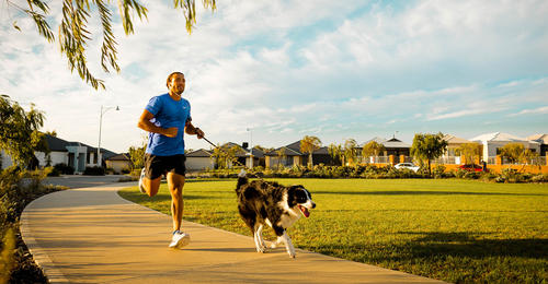 A man jogging with his dog past a park at Banksia Grove